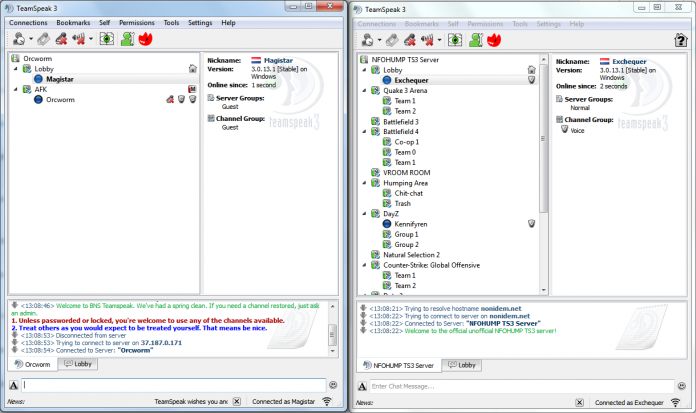 teamspeak-two-instances