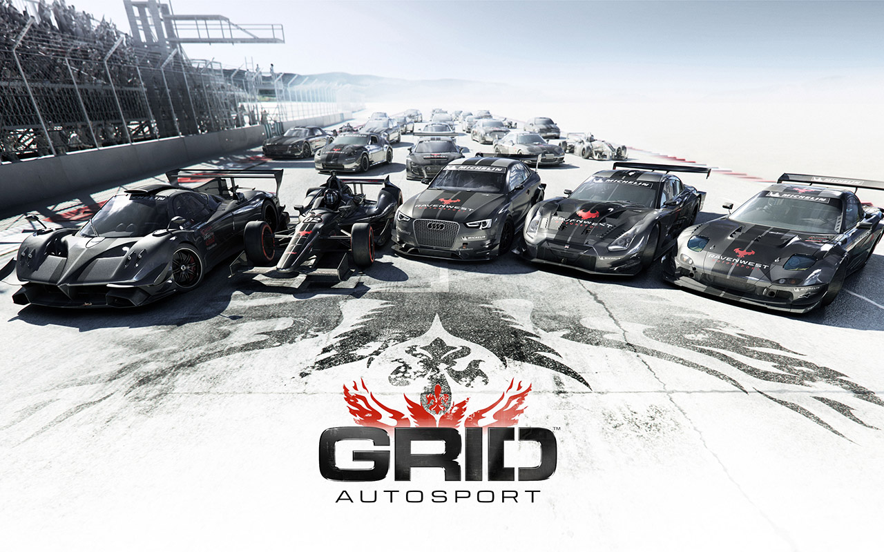 Grid Autosport – Changing controller deadzone settings